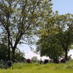 Schwalm Radweg uk-cover