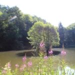 Heckenrainweiher uk-cover