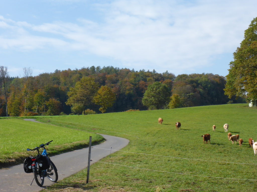 Reichelsheim-Winterkasten