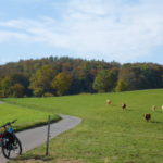 Reichelsheim-Winterkasten uk-cover