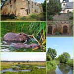 Regionalpark Niddaroute uk-cover