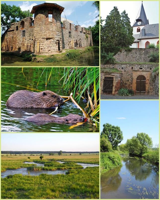 Regionalpark Niddaroute